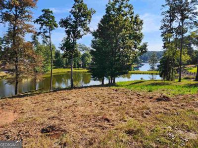 1040 Osprey Circle, Greensboro GA 30642