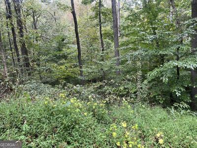 Continental Drive, Cumming GA 30041