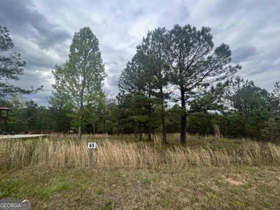 Lot 65 Village Loop, Blairsville GA 30512