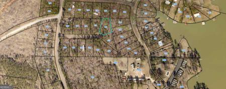141 Lakespur Terrace, Sparta GA 31087