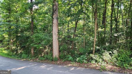 Lot 93 94 Imperial Drive, Cumming GA 30041