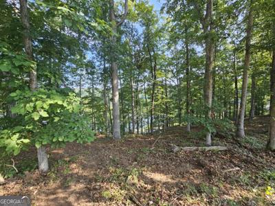 237 Southern Trace, Toccoa GA 30577