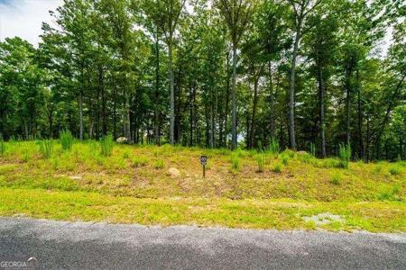 Lot 65 Ridge, Morganton GA 30560