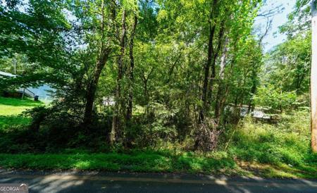 Lot 46 High Pine Drive, Acworth GA 30101