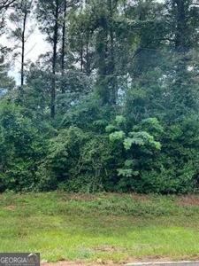 N Spring Creek Circle, Cobb GA 31735