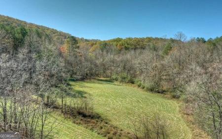 Loving Drive, Blairsville GA 30512