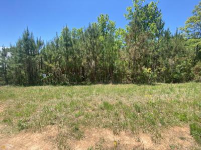 LT 55 Village Loop, Blairsville GA 30512