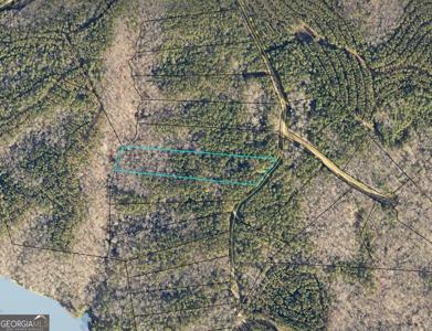 Lot 11 Blackberry Bend, Elberton GA 30635