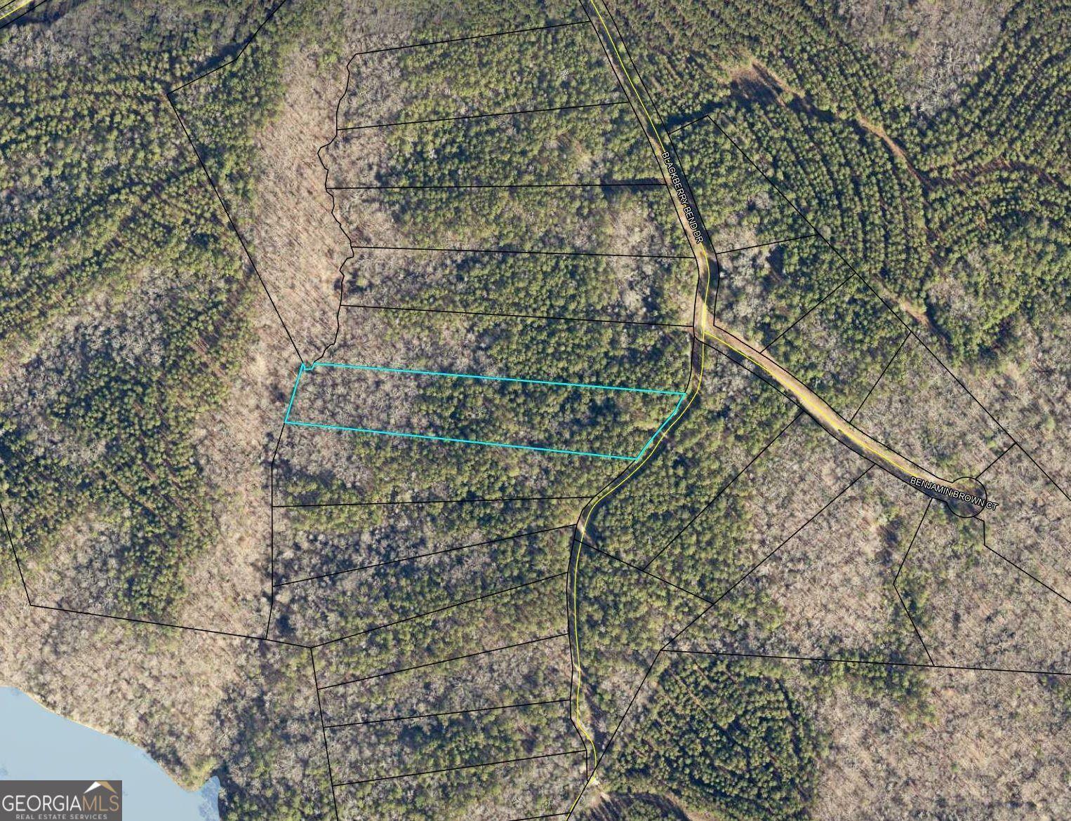 Image 1: Aerial