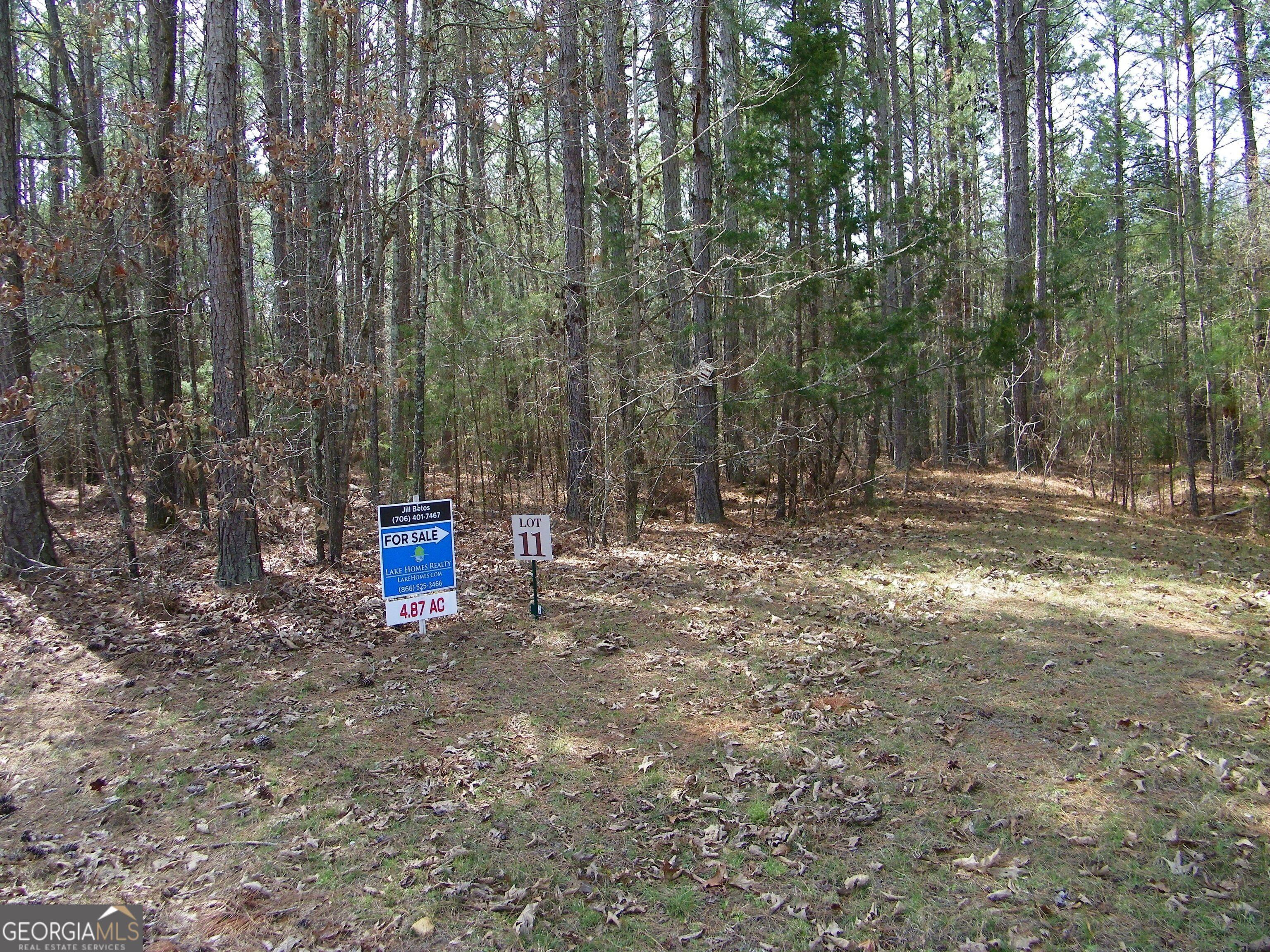 Image 2: Driveway entry