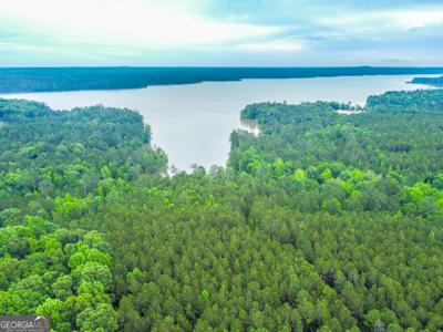 1078 Chennault Drive, Tignall GA 30668