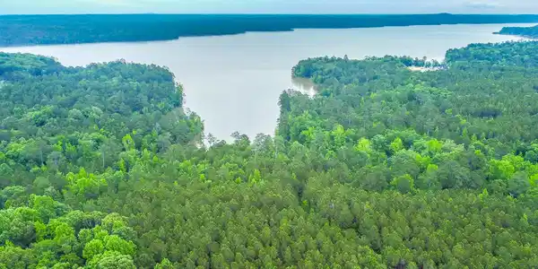 1078 Chennault Drive, Tignall GA 30668