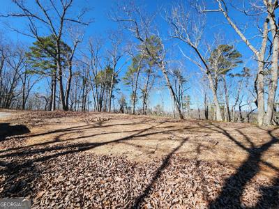 Nichols Cove Drive, Dawsonville GA 30534