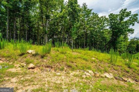 Lot 64 Ridge, Morganton GA 30560