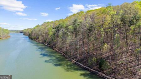 Lot 102 waterside trail, 102, Cleveland GA 30528
