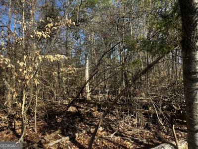 Lot 49 AN Alpine Way, Lavonia GA 30553
