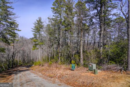 Lot 39, Clarkesville GA 30523 Ivy Ridge Way