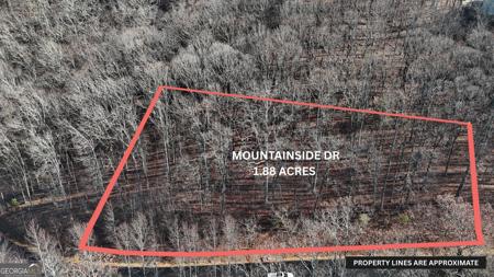 Lot 45 Mountainside Drive, Cleveland GA 30528