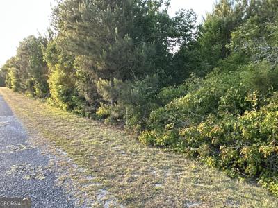 Lot 8 County Road 520, Centre AL 35960