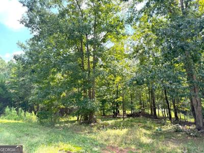 1049 Jaybird Lane, Elberton GA 30635