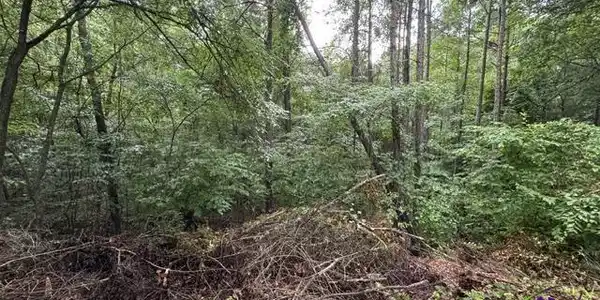 172 Waters Pointe, Lizella GA 31052