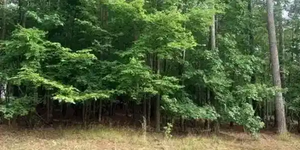 Lot 7, Eatonton GA 31024 286 E River Bend Drive