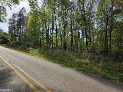 Lot 77 Lake Club Circle, Lavonia GA 30553