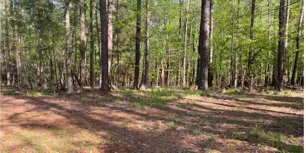 1021 Charles Court, Greensboro GA 30642
