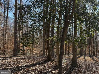 Lewis Drive, Lavonia GA 30553