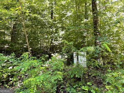 Lot 32 Fodder Creek Mill Drive, Hiawassee GA 30546