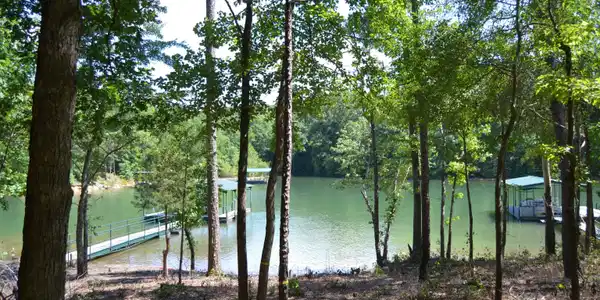 Lot 11, Hartwell GA 30643 913 Paynes Creek Road