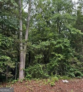 Lot 17 Drive, Lavonia GA 30553 Lewis