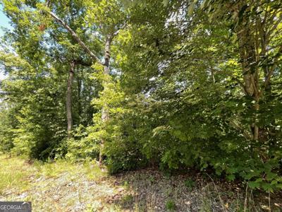 Lot 37 Fodder Creek Mill Drive, Hiawassee GA 30546
