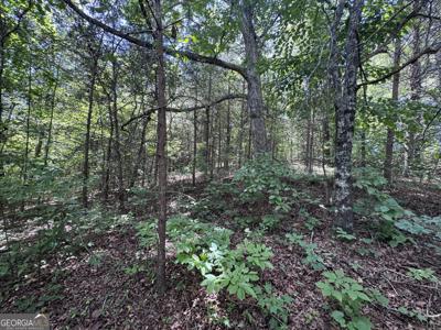 Sunshine Ridge, Toccoa GA 30577