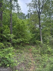 53 Cardinal Lane, Toccoa GA 30577