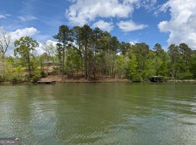 23 Post Oak Ridge, Sparta GA 31087