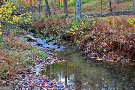 Lot 157 N Laceola Road # 157, Cleveland GA 30528