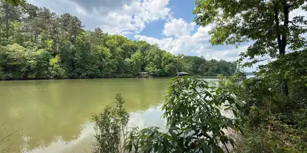 Lot 221 Hickory Pass, Sparta GA 31087