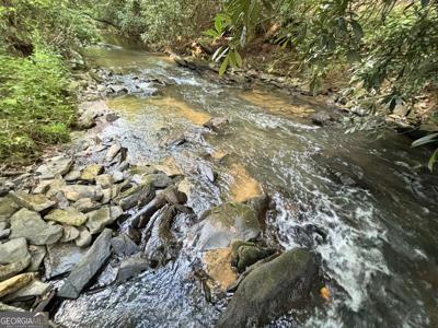 Lot 17 Mt. Springer Road, Ellijay GA 30540