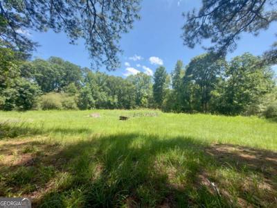 7.69 Leslie Mill Road, Greensboro GA 30642
