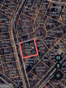 132 De La Taix Drive, Lavonia GA 30553