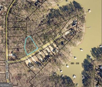 85 Peninsula Point, Martin GA 30557