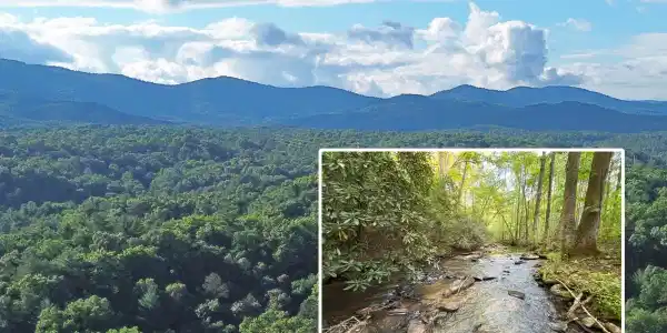 Lot 18 Mt. Springer Road, Ellijay GA 30540