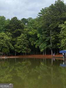 1290 Tal Lewis Road, White Plains GA 30678