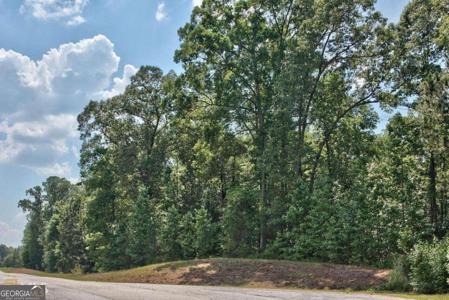 1190 Waterstone Drive, Madison GA 30650