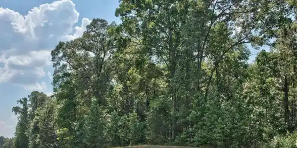1190 Waterstone Drive, Madison GA 30650
