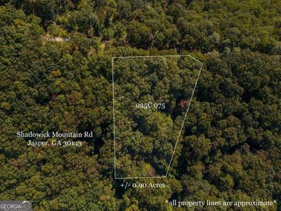 Lot 4323 Shadowick Mountain Road, Jasper GA 30143