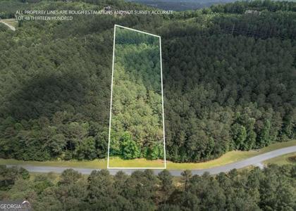 Lot 48 Thirteen Hundred, Blairsville GA 30512