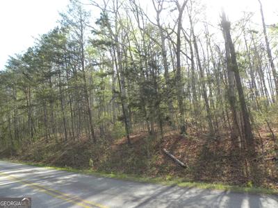 1323 Seven Forks Road, Martin GA 30557
