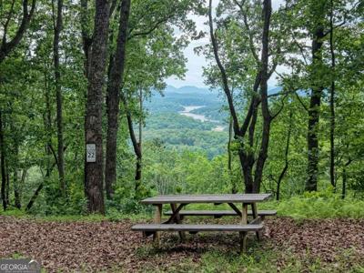 22 Buckhead Hills # 22, Hiawassee GA 30546
